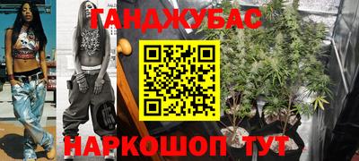 шишки Братск