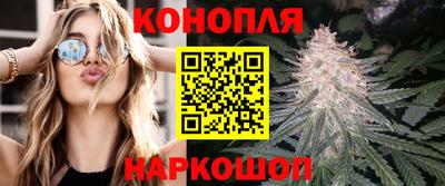 шишки Братск