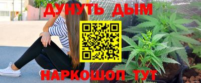 шишки Братск