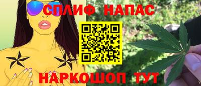 гидропоника Брянск