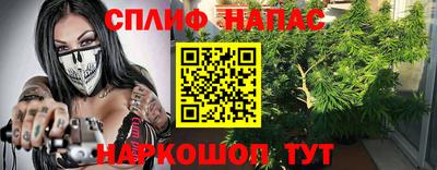 шишки Братск