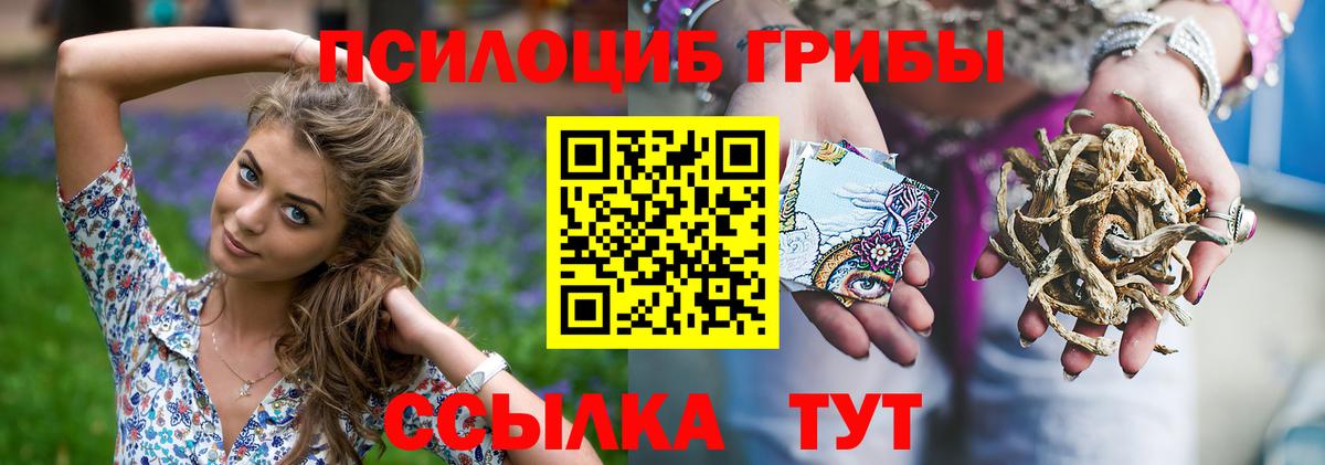 Галлюциногенные грибы Psilocybine cubensis  Вход с VPN  Псилоцибиновые грибы мухоморы  Губкин 