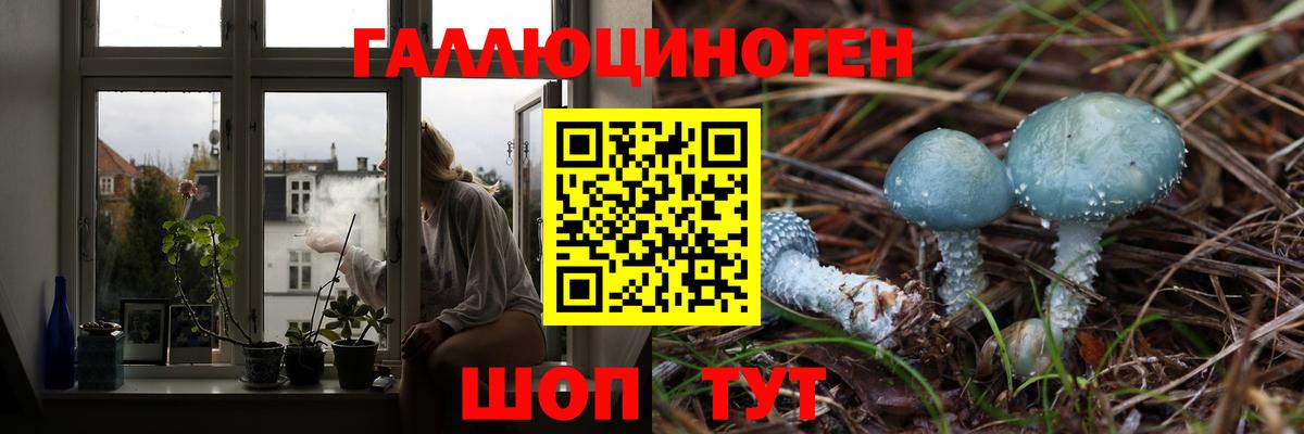 Галлюциногенные грибы MAGIC MUSHROOMS Губкин